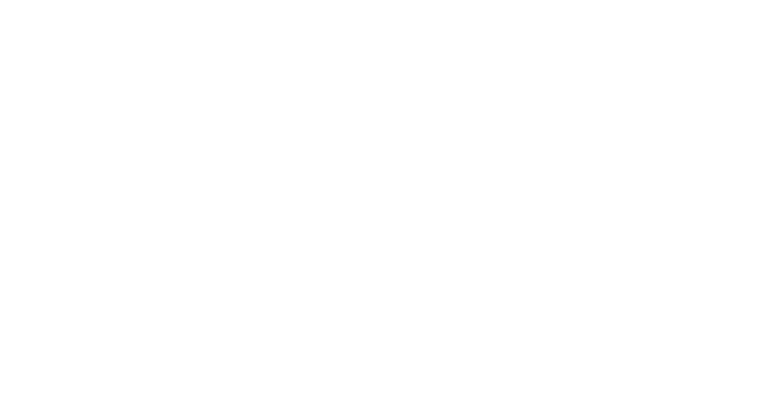 FlySky logo